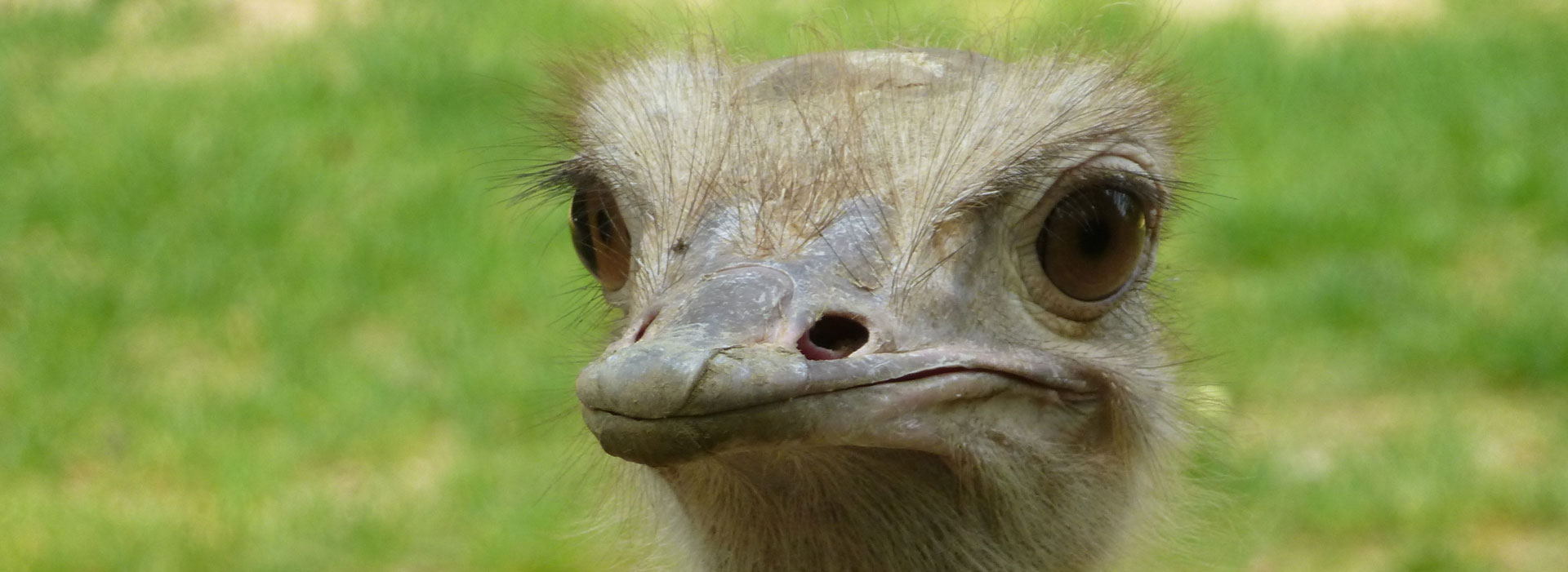 Ein Blick, der sich lohnt ...